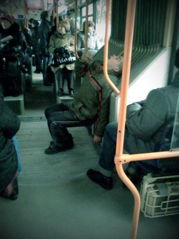Мы хотим спать! (30 фото)