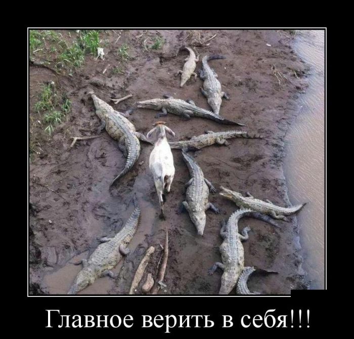 Демотиваторы четверга (30 фото)