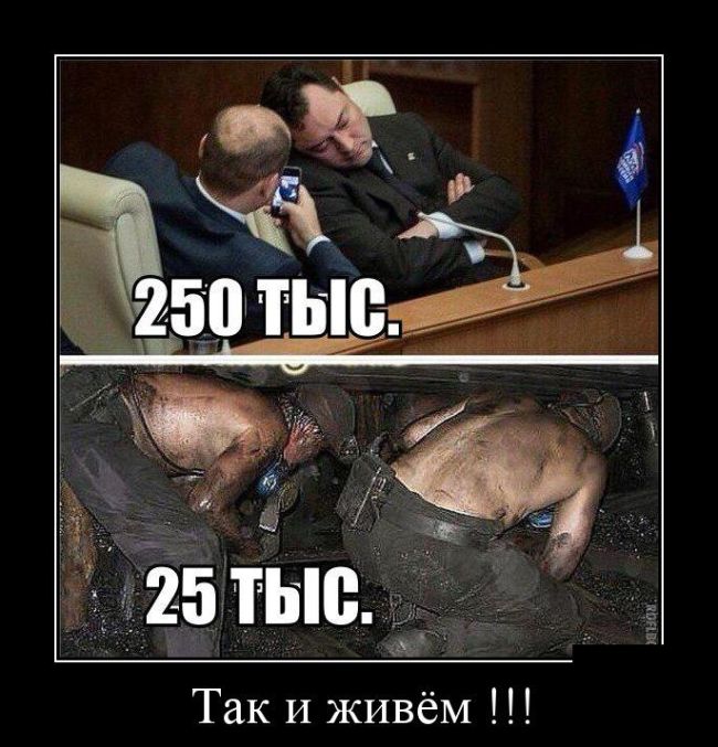 Демотиваторы четверга (30 фото)