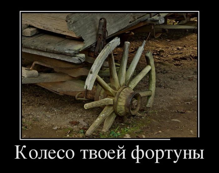 Демотиваторы четверга (30 фото)