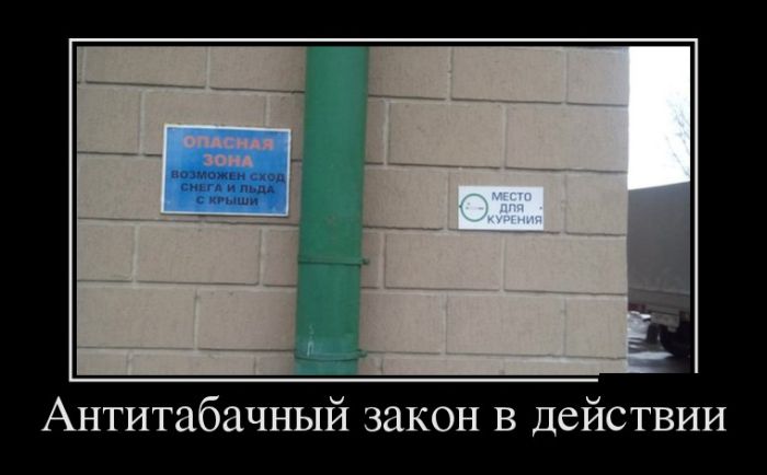 Демотиваторы пятницы (30 фото)