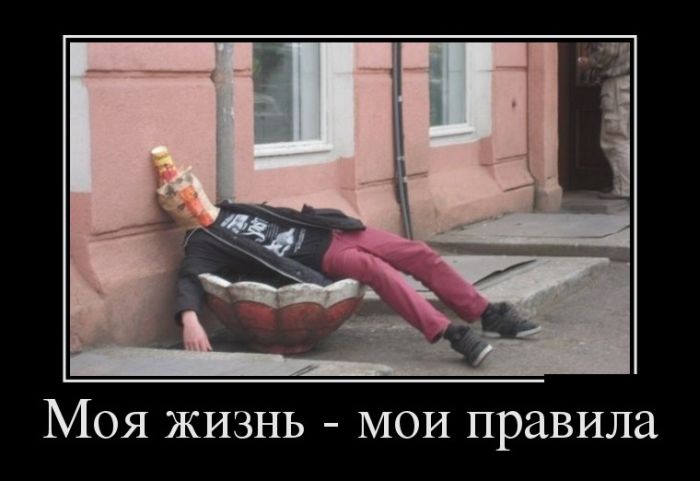 Демотиваторы пятницы (30 фото)