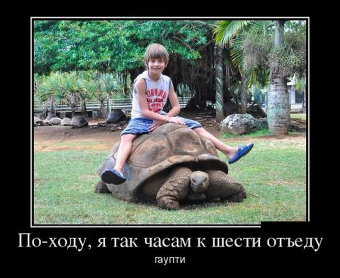 Демотиваторы пятницы (30 фото)