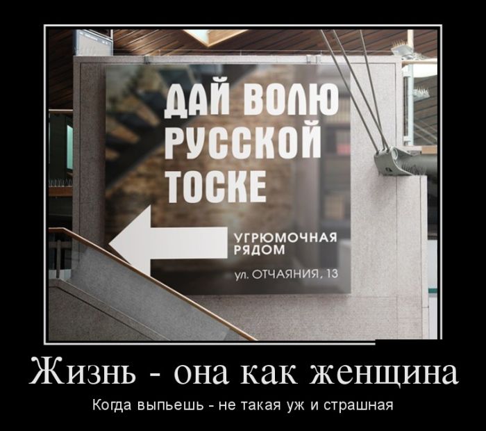 Демотиваторы пятницы (30 фото)
