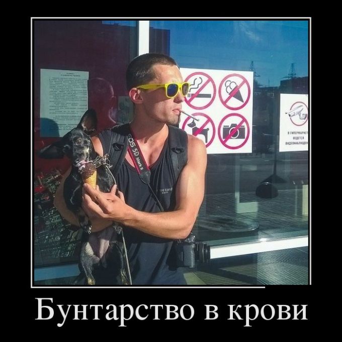 Демотиваторы пятницы (30 фото)
