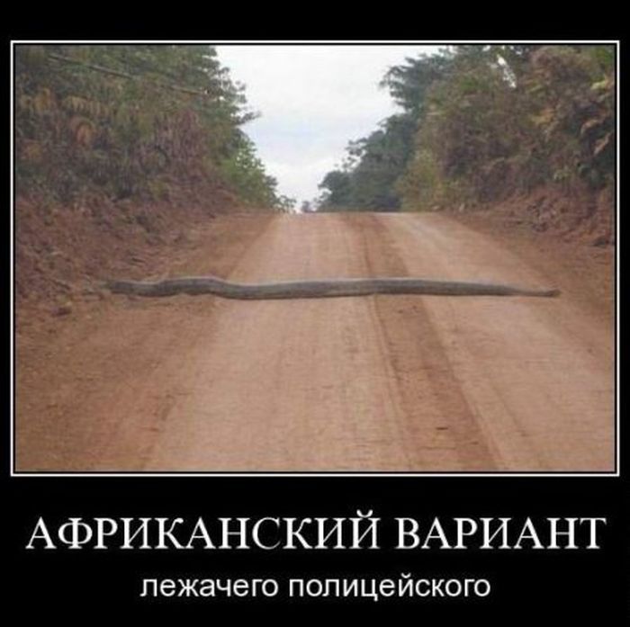 Демотиваторы пятницы (30 фото)