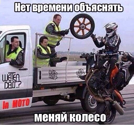 ������������� ������� ������� (12 ����)