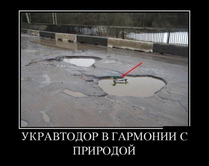 ������������ ������� (30 ��������)
