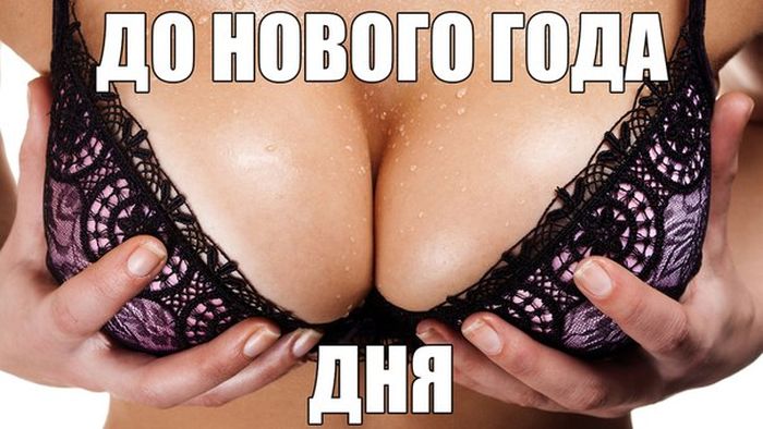 �������� ���������� �������� �� ���������� ����� �������� (30 ����)