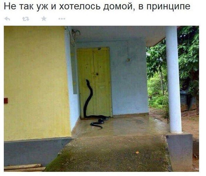 �������� ���������� �������� �� ���������� ����� �������� (30 ����)