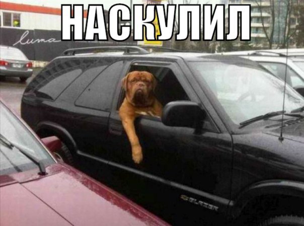 Автомобильные приколы пятницы (26 картинок)