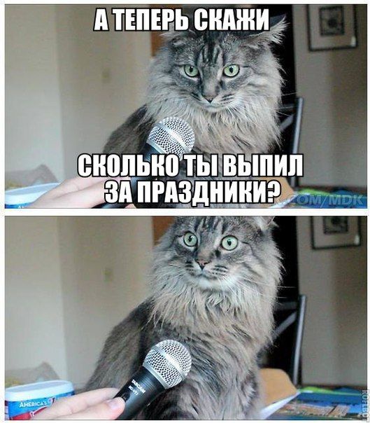 Подборка прикольных картинок из социальных сетей пятницы (30 фото)