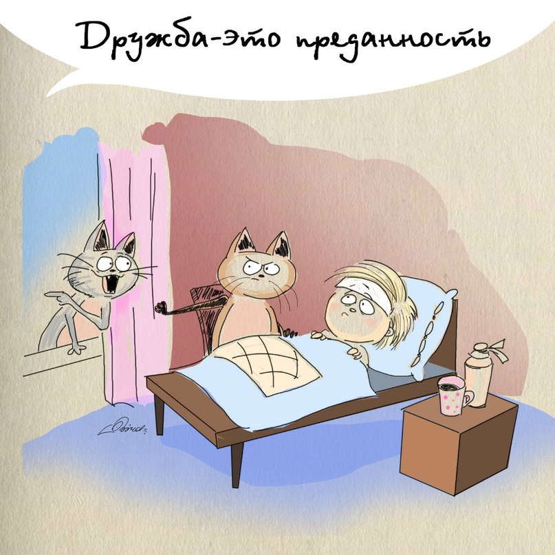 Дружба - это... (10 картинок)