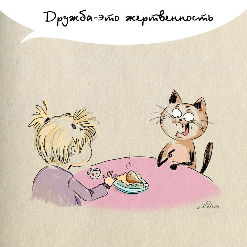 Дружба - это... (10 картинок)