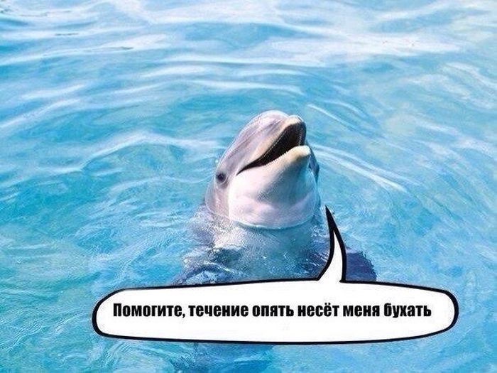 Подборка прикольных картинок из социальных сетей понедельника (30 фото)