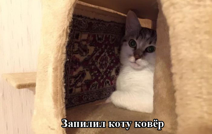 Подборка прикольных картинок из социальных сетей понедельника (30 фото)