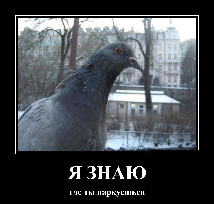 Демотиваторы вторника (30 картинок)