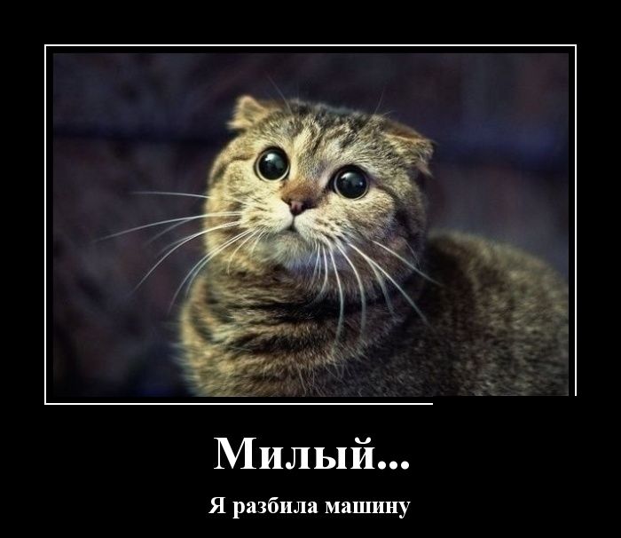 Демотиваторы вторника (30 картинок)