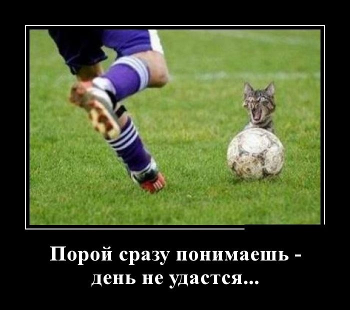 Демотиваторы вторника (30 картинок)