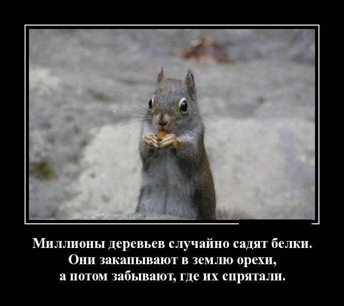 Демотиваторы вторника (30 картинок)