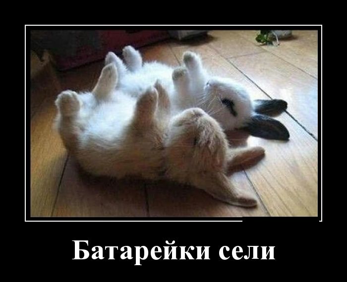 Демотиваторы вторника (30 картинок)