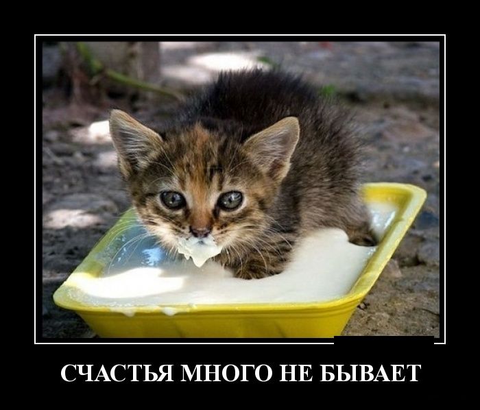 Демотиваторы вторника (30 картинок)