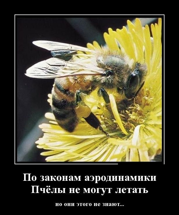 Демотиваторы вторника (30 картинок)