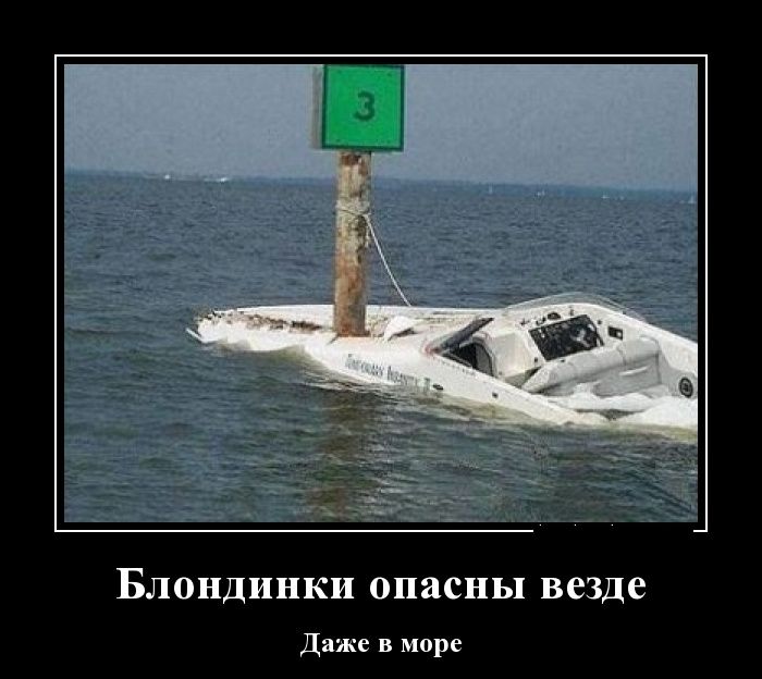 Демотиваторы вторника (30 картинок)
