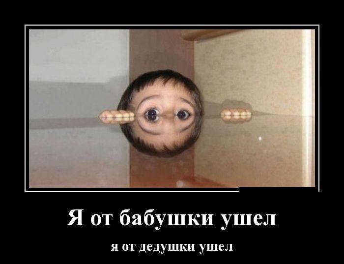 Демотиваторы вторника (30 картинок)