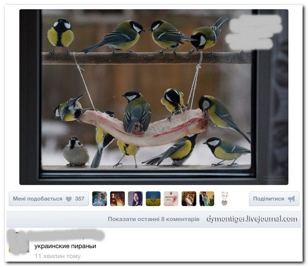 Комментарии из социальных сетей (28 фото)