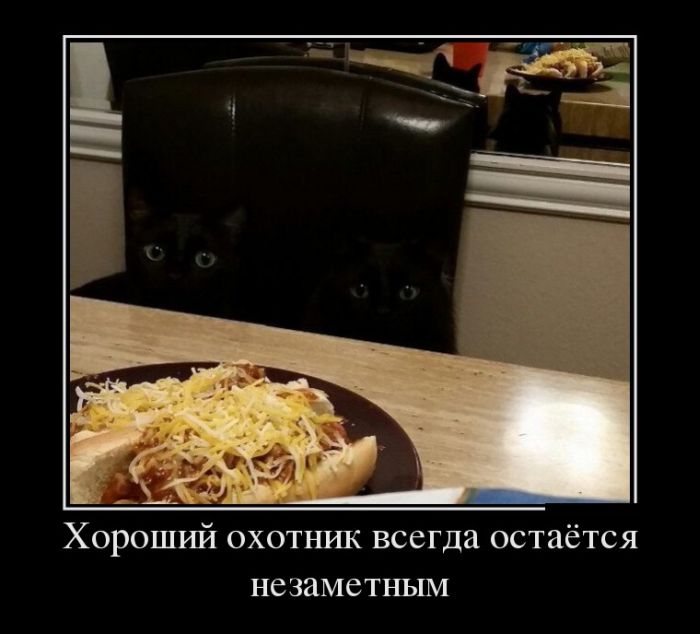 Демотиваторы понедельника (30 картинок)