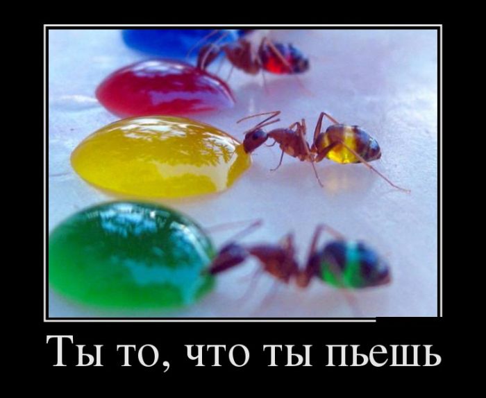 Демотиваторы понедельника (30 картинок)