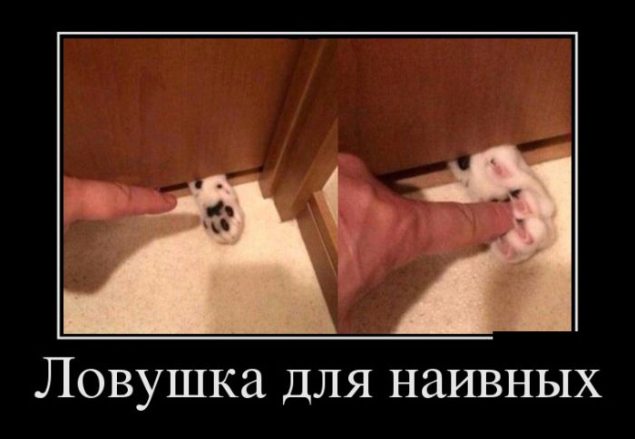 Демотиваторы понедельника (30 картинок)