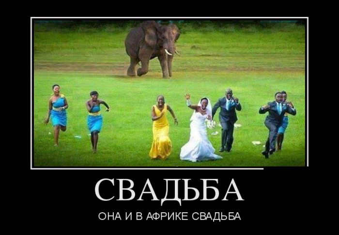 Демотиваторы понедельника (30 картинок)