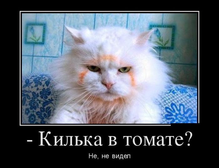 Демотиваторы понедельника (30 картинок)