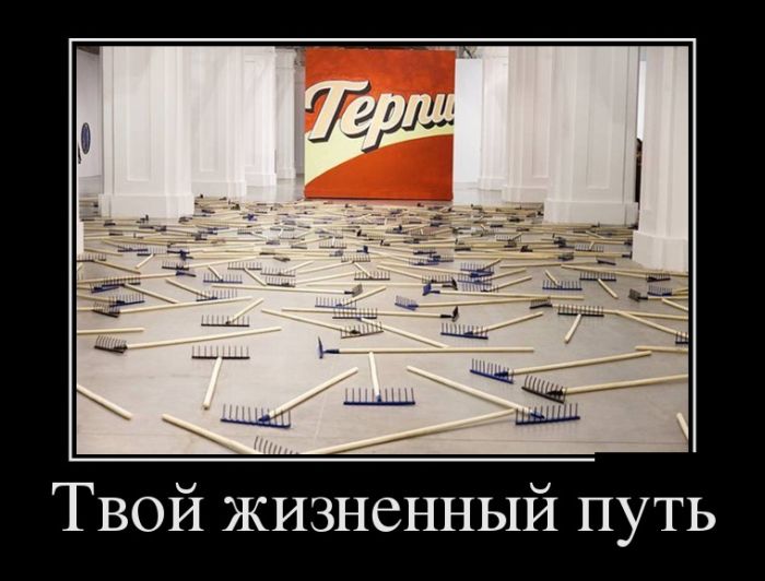 Демотиваторы понедельника (30 картинок)