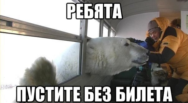 Автоприколы среды (30 картинок)