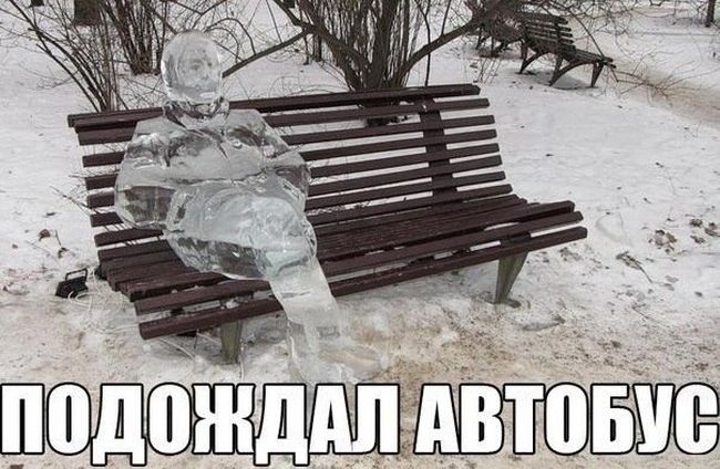 Автоприколы среды (30 картинок)