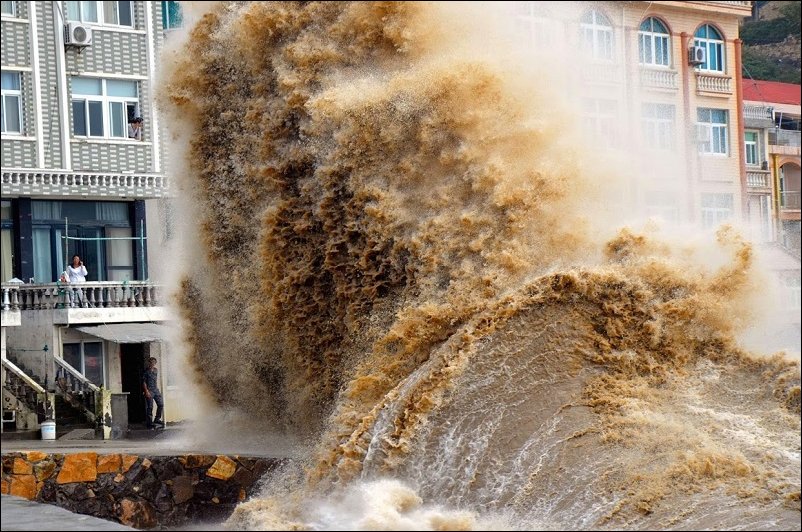 Фото, сделанные в нужный момент (22 фото)