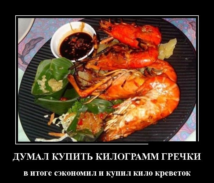Демотиваторы понедельника (30 картинок)