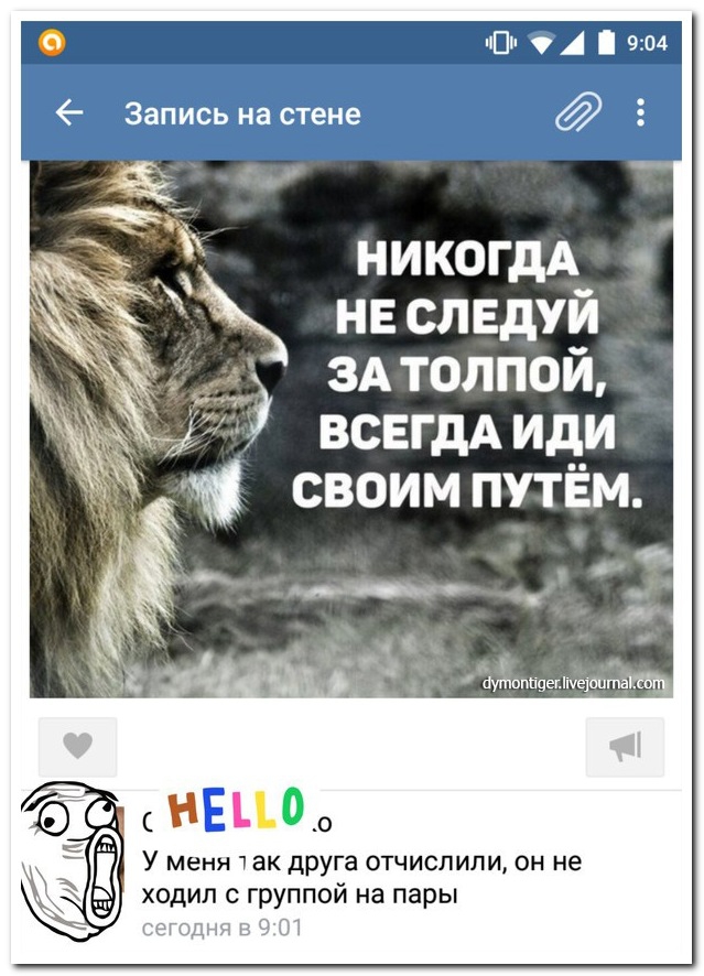25 комментариев из социальных сетей