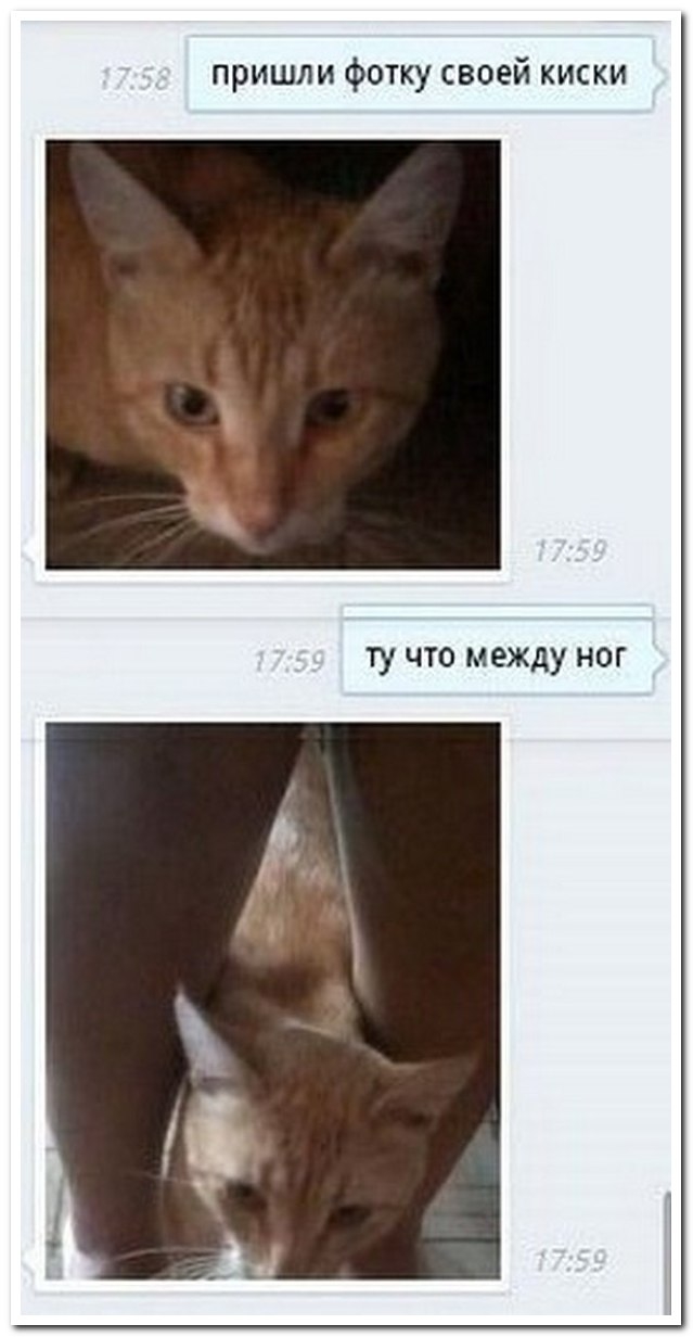 25 комментариев из социальных сетей