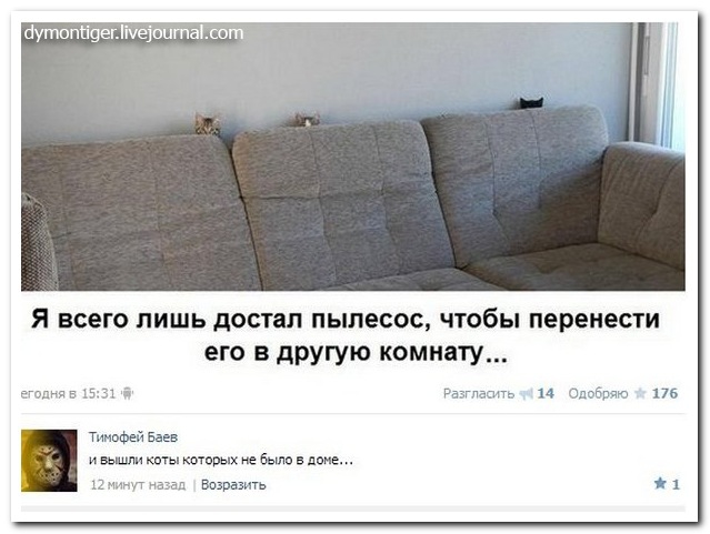 25 комментариев из социальных сетей