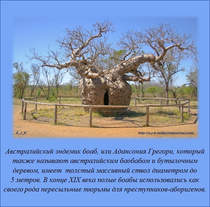 Интересные факты о различных вещах (38 фото)