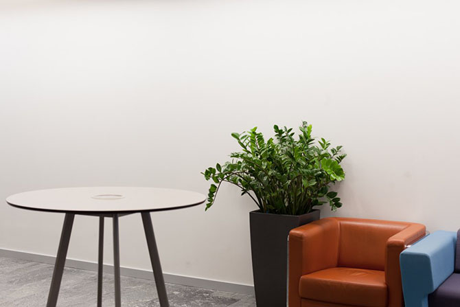 ��� �������� � ���������� ����� Microsoft (29 ����)