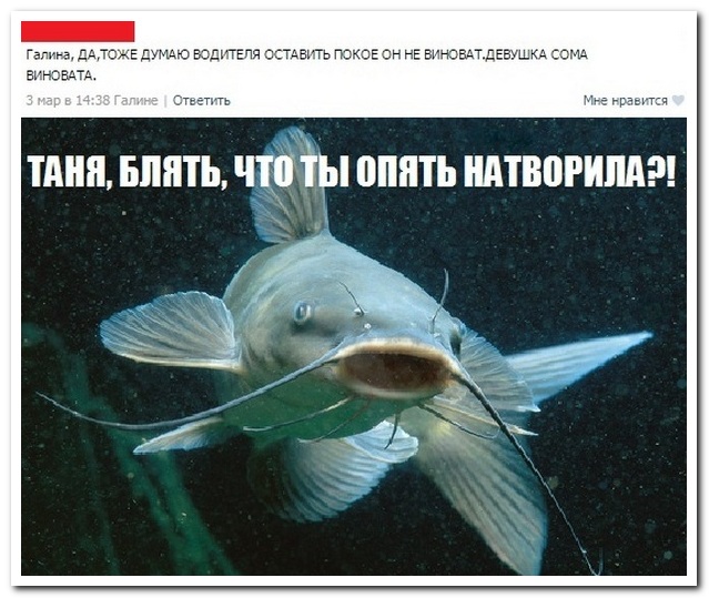 28 комментариев из социальных сетей