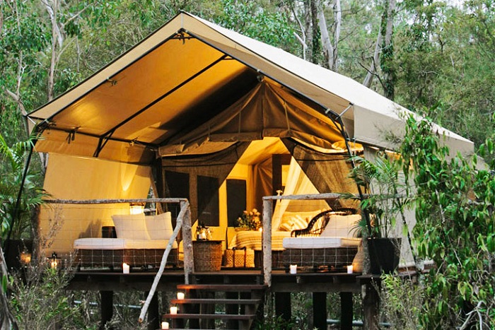 Glamping:    (6 )