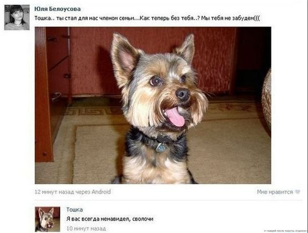 18 комментариев из социальных сетей понедельника 