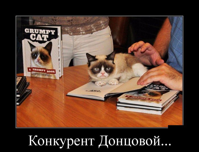 Демотиваторы четверга (30 картинок)