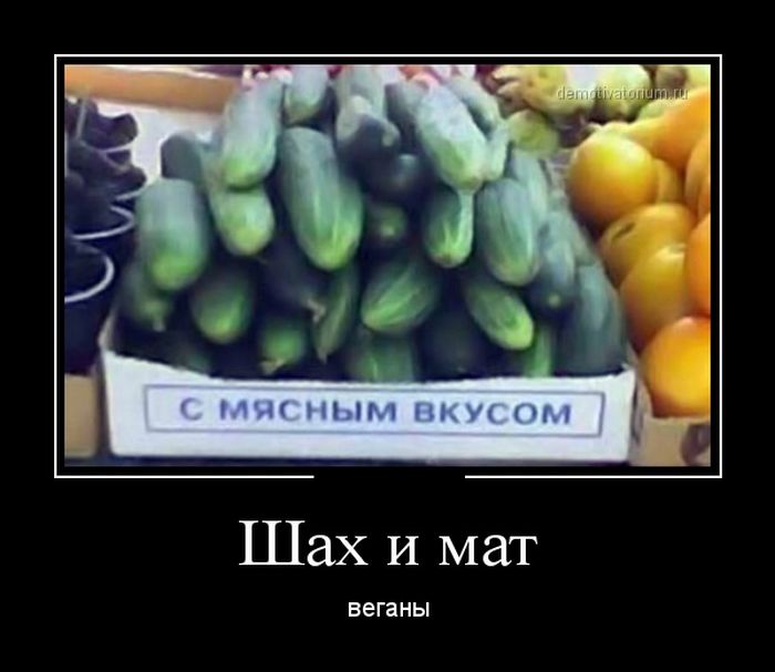 Демотиваторы четверга (30 картинок)